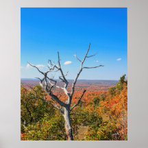 Vista de Outono no Monte Bohemia