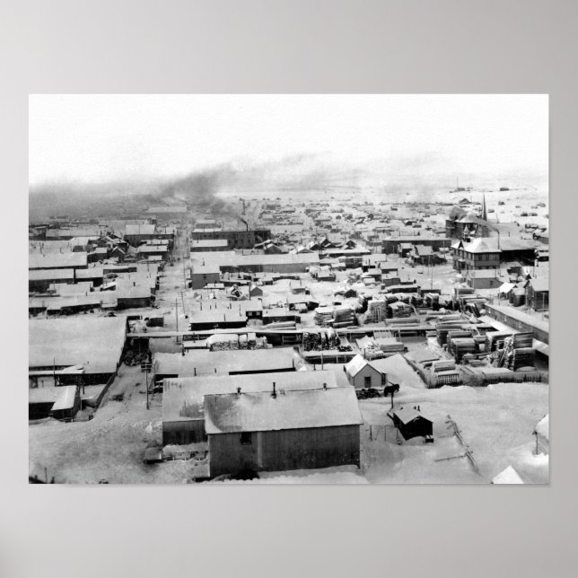 Poster Vista de Pássaro de Nome, Alasca com Neve (Frente)