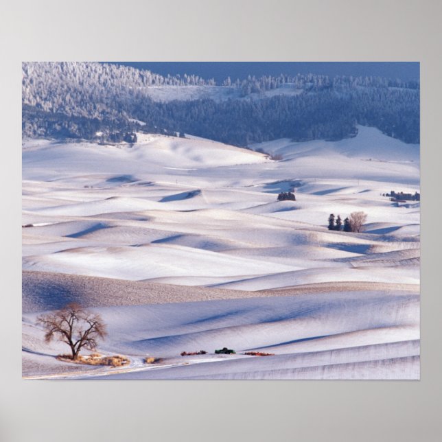 Poster Vista de Steptoe Butte de colinas onduladas cobert (Frente)