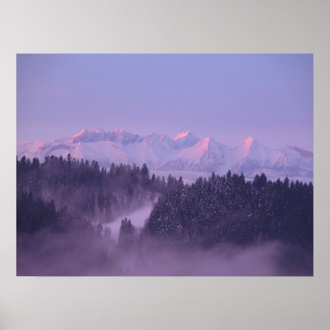 Poster Vista de Winter Tatras (Frente)