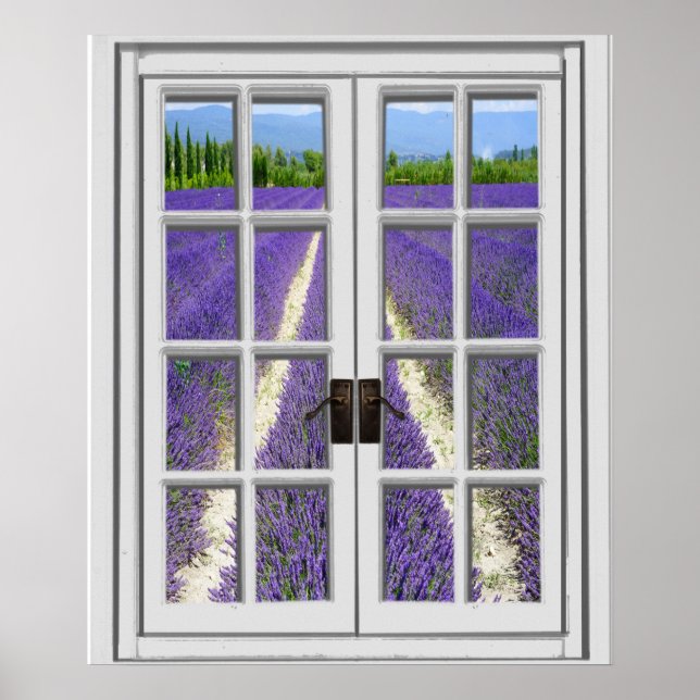 Poster Vista do Campo de Lavanda Janela Falsa (Frente)