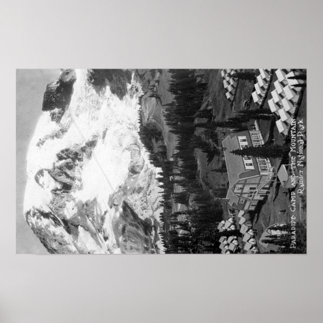 Pôster Vista do Campo de Paraíso e do Monte Rainier (Frente)