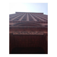 Vista do chão do Guaranty Building