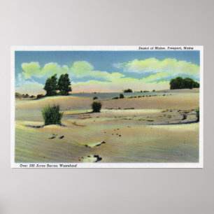 Poster Vista do deserto de Maine
