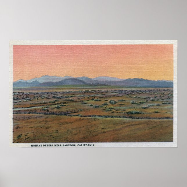 Poster Vista do deserto de Mohave (Frente)