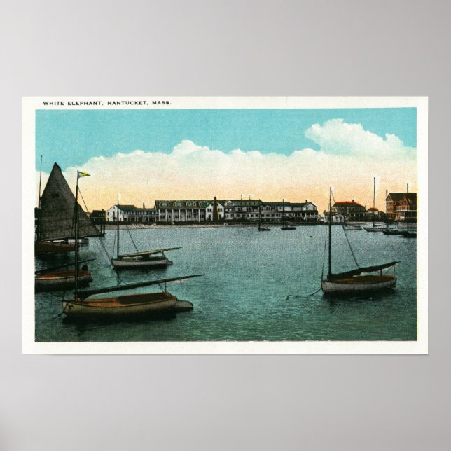 Poster Vista do Elefante Branco (Frente)