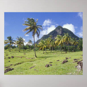 Pôster vista do Gros Piton ao longo da trilha histórica e