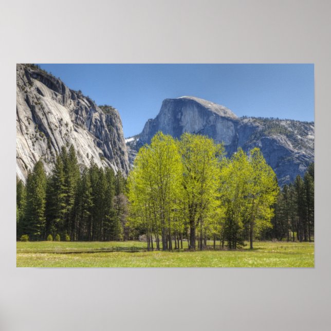 Poster Vista do Half Dome (Frente)