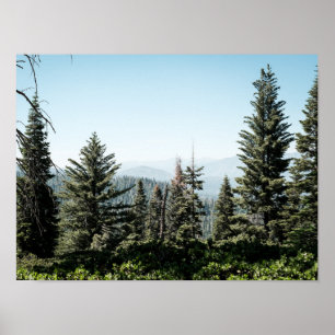 Poster Vista do Kings Canyon na Floresta de Sierra Nevada