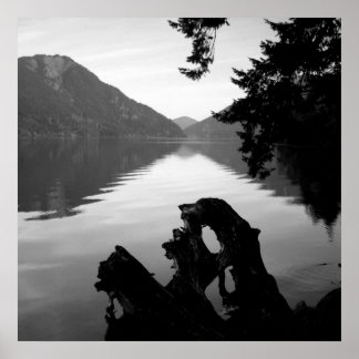 Poster vista do lago bw 1