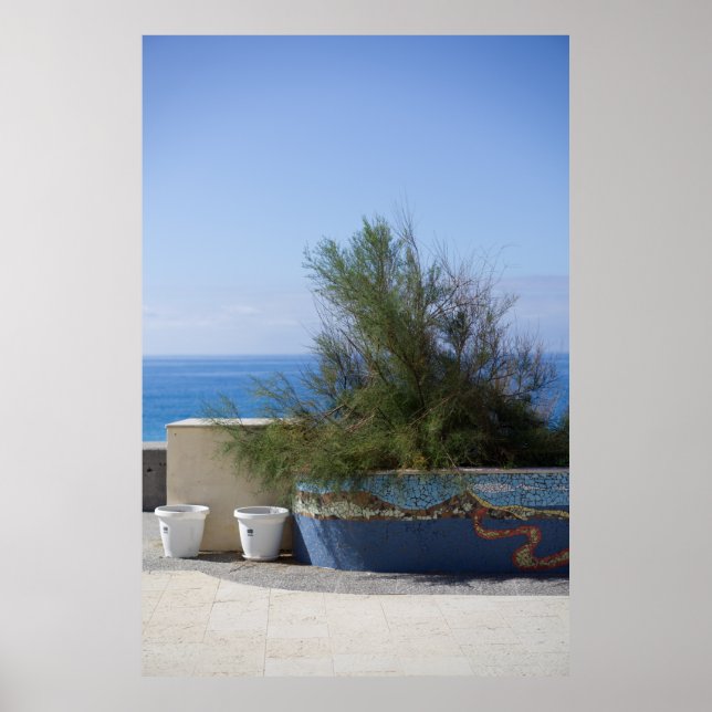 Poster Vista Do Mar Obstruída Por Um Arbusto (Frente)