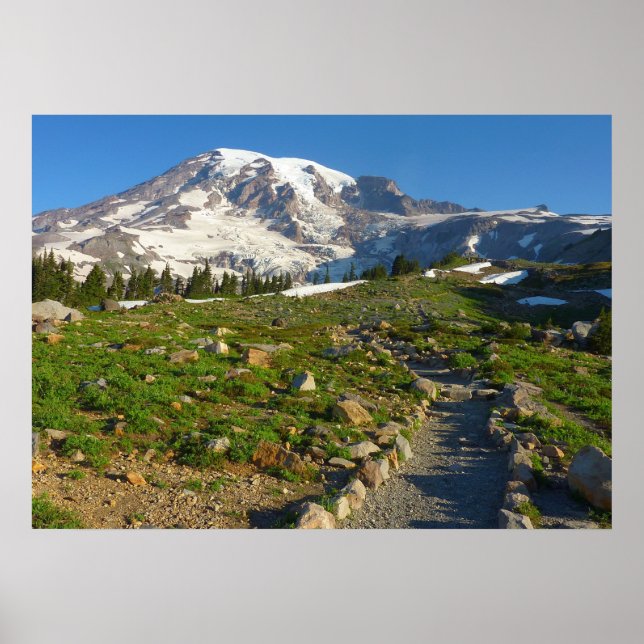Poster Vista do Mount Rainier Skyline Trail (Frente)