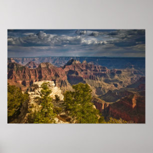 Pôster Vista do North Rim Visitor Center - Grand