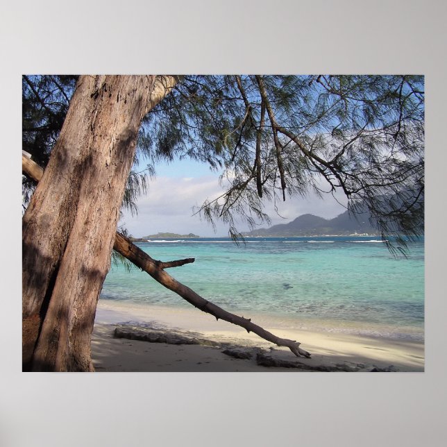 Pôster Vista do Oceano (Frente)