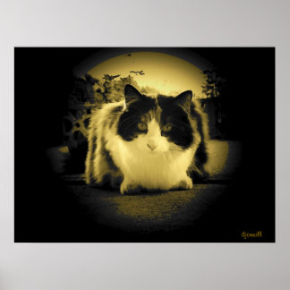 Poster Vista do olho do rato