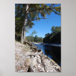 Poster Vista do rio de Suwannee
