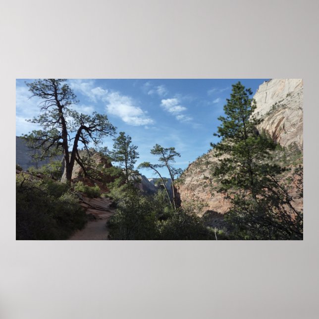 Poster Vista do Scout Lookout no Zion National Park (Frente)