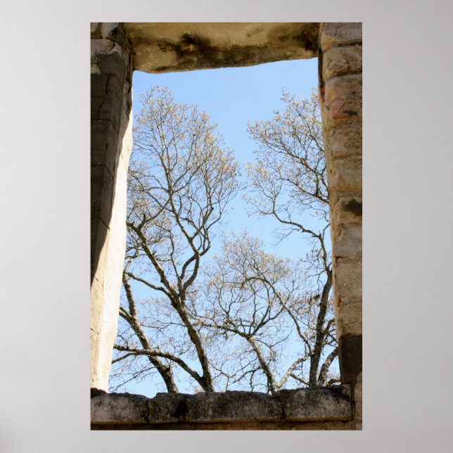 Pôster Vista do Texas Central (Frente)