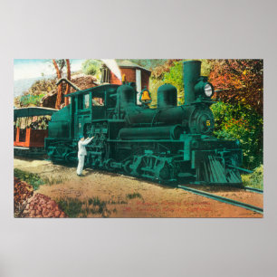 Poster Vista do trem Railway do Mt. Tamalpais