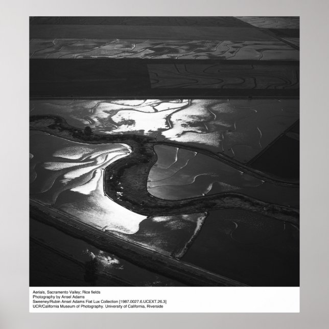 Pôster Vista do Vale do Sacramento por Ansel Adams (Frente)
