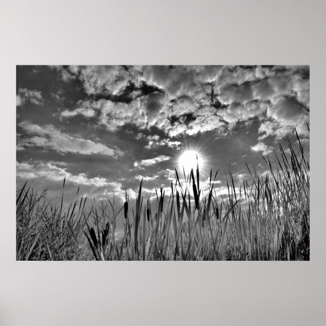 Poster Vista dos Olhos do Pato (Frente)