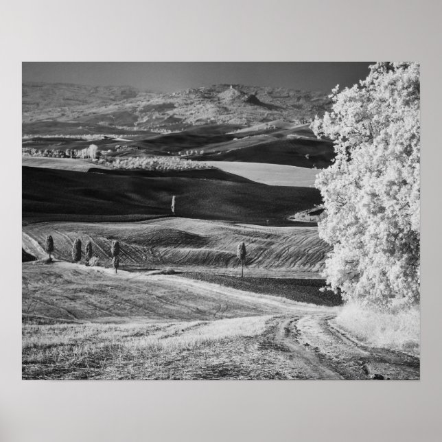 Poster Vista em preto e branco de uma estrada enrolada (Frente)