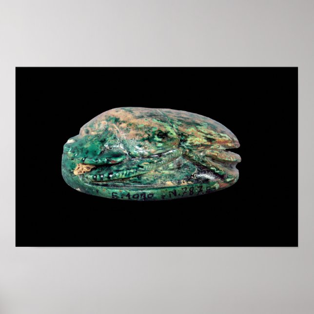 Poster Vista lateral de um escaravelho casamento do Amenh (Frente)