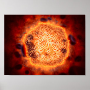 Pôster Vista microscópica de Parvovirus canino 4