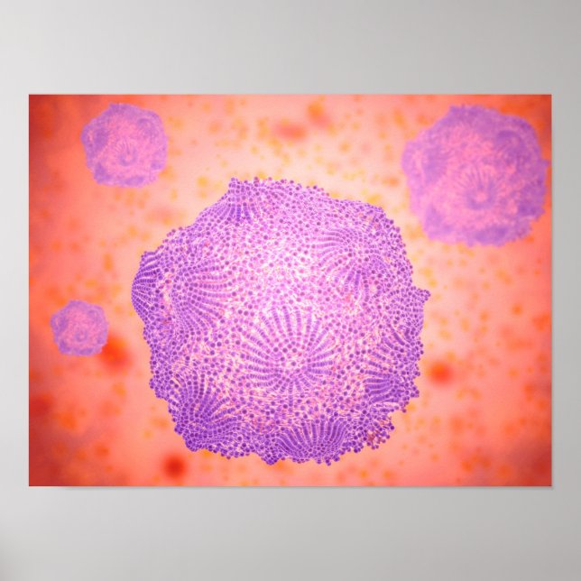 Poster Vista Microscópica Do Parvovírus Canino 2 (Frente)