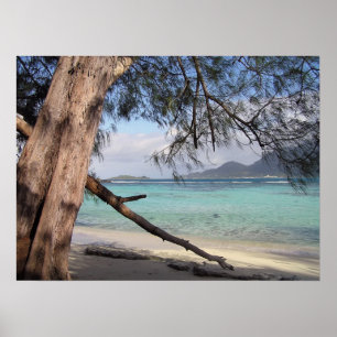 Pôster Vista para o mar