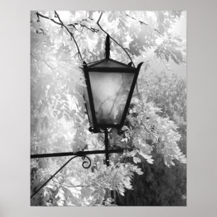 Poster Vista preta e branca do suporte de luz