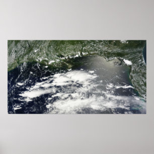 Pôster Vista satélite do óleo que escapa 2