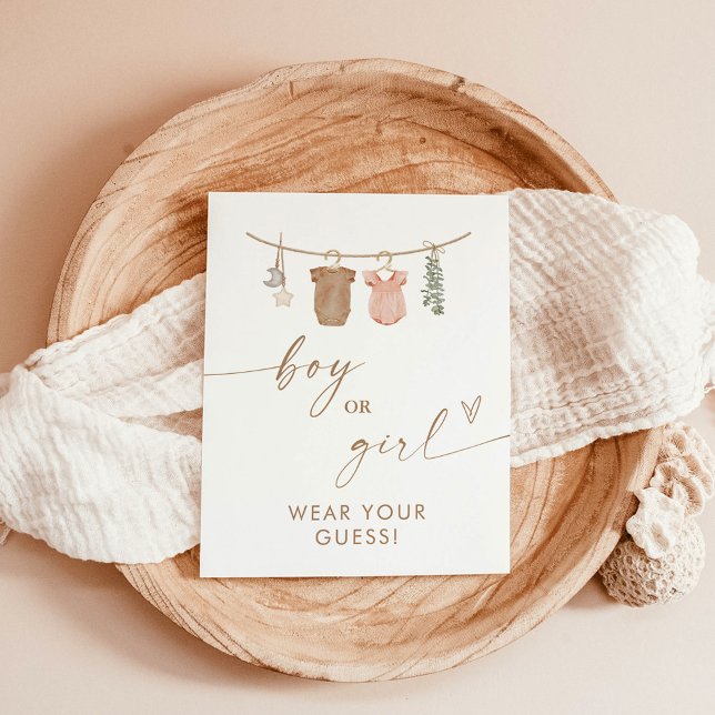 Poster Vista Seu Sinal De Jogo, Ele ou Ela Revelam O Gêne (Criador carregado)