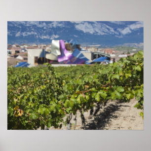 Poster Vista urbana elevada e Hotel Marques de Riscal
