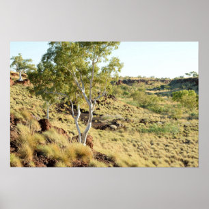 Poster Visualizações do Vale