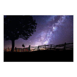 Pôster Visualizando o Universo a partir de um Swing