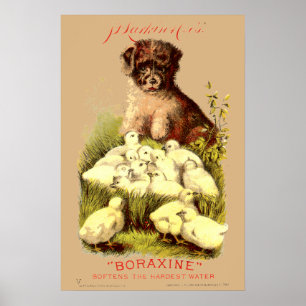 Poster Vitoriano Era Puppy e Pintinhos para bebês Anúncio
