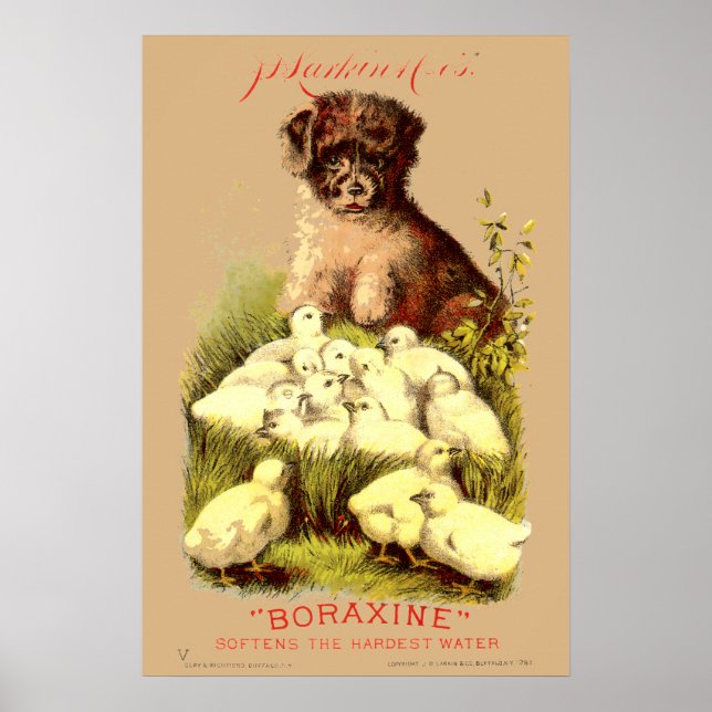 Poster Vitoriano Era Puppy e Pintinhos para bebês Anúncio (Frente)