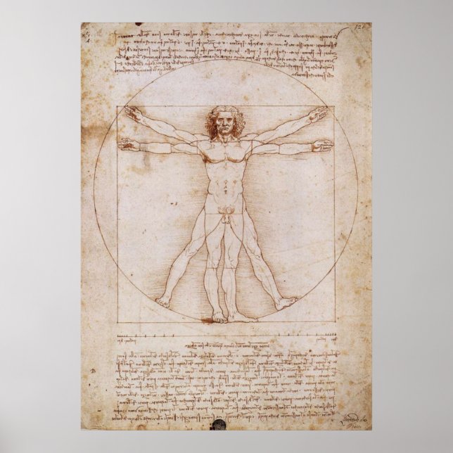 Pôster Vitruvian Man (Frente)