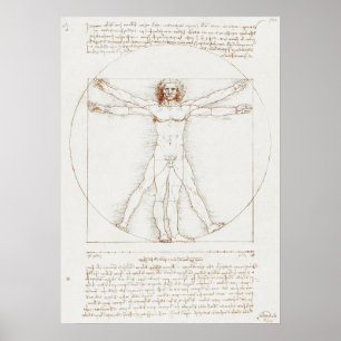 Poster Vitruvian Man Da Vinci