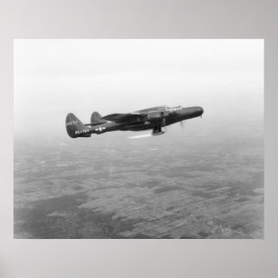 Poster Viúva negra P-61