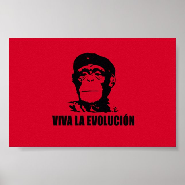 Pôster Viva La Evolucion (Frente)