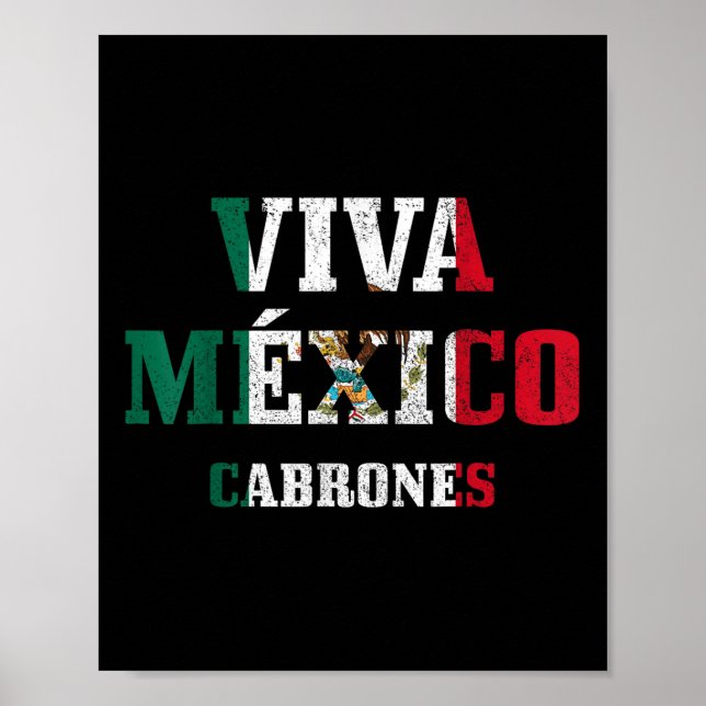 Poster Viva Mexico Cabrones Funny Cinco De Mayo Mexicano  (Frente)
