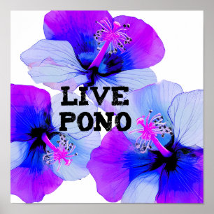 Poster Viva Pono Hibisco Havaiano Roxo Floral Azul 