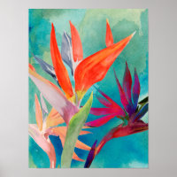 Vivid Birds of Paradise