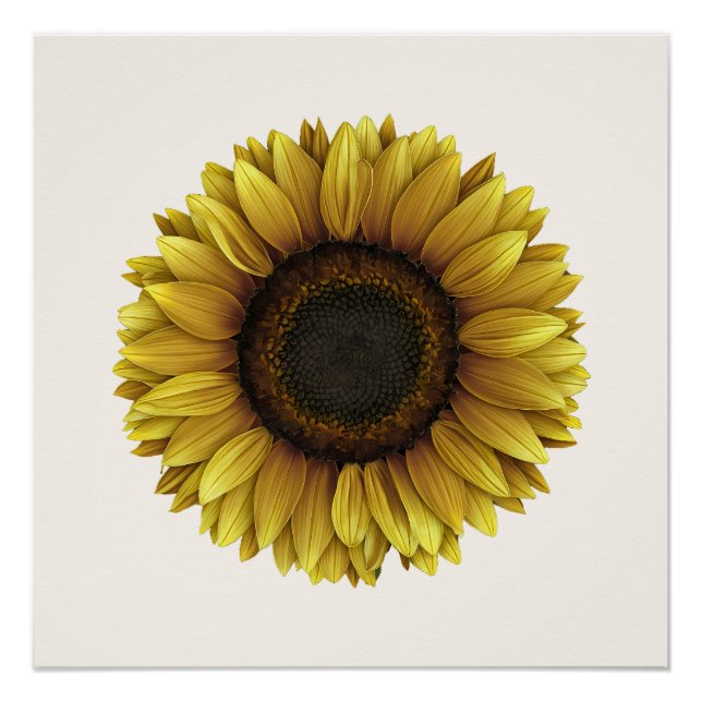 Pôster Vivid Sunflower Botanical Art Design (Frente)