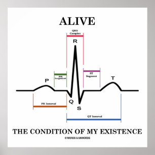 Pôster Vivo A Condição Da Minha Existência (ECG/EKG)