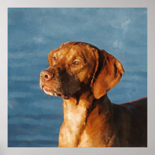 Poster Vizsla dog - Hound Hound