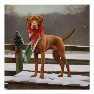 Pôster Vizsla Dog no Natal da Neve