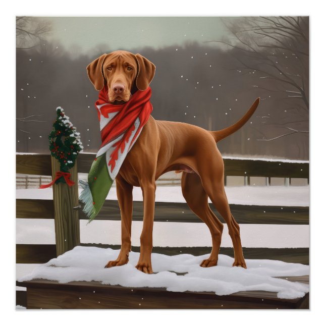 Pôster Vizsla Dog no Natal da Neve (Frente)